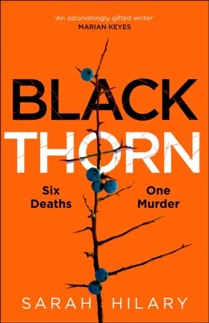 Černý trn - Strhující a podmanivý mnohovrstevnatý thriller o rodinách a jejich tajemstvích a lžích - Black Thorn - A haunting and captivating multi-layered thriller about families and their secrets and lies