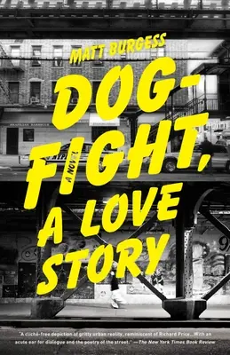 Psí souboj, milostný příběh - Dogfight, a Love Story