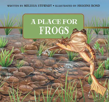 Místo pro žáby - A Place for Frogs