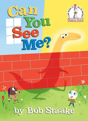 Vidíš mě? - Can You See Me?