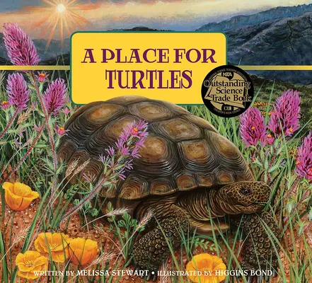 Místo pro želvy - A Place for Turtles