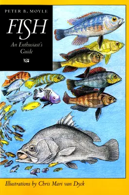 Ryby: Průvodce pro nadšence - Fish: An Enthusiast's Guide