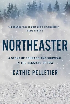 Northeaster: Příběh o odvaze a přežití ve sněhové bouři v roce 1952 - Northeaster: A Story of Courage and Survival in the Blizzard of 1952