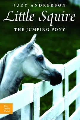 Malý skákací poník Squire - Little Squire the Jumping Pony