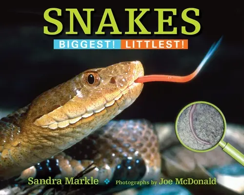 Hadi: Největší! Nejmenší! - Snakes: Biggest! Littlest!