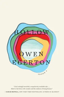 Dutý - román - Hollow - A Novel