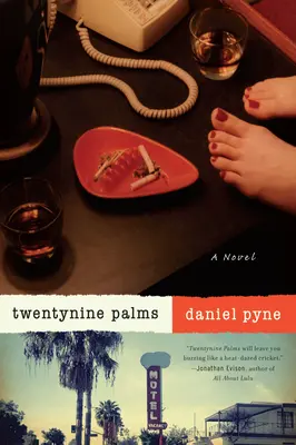 Dvacet devět palem - román - Twentynine Palms - A Novel