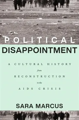 Politické zklamání: Kulturní dějiny od rekonstrukce po krizi AIDS - Political Disappointment: A Cultural History from Reconstruction to the AIDS Crisis