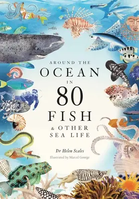 Kolem oceánu za 80 ryb a dalších mořských živočichů - Around the Ocean in 80 Fish and Other Sea Life