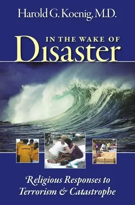 Po katastrofě: Náboženské reakce na terorismus a katastrofy - In the Wake of Disaster: Religious Responses to Terrorism & Catastrophe