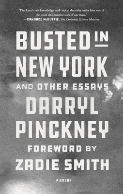 Zatčení v New Yorku a další eseje - Busted in New York and Other Essays