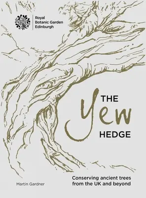 Tisový živý plot - The Yew Hedge