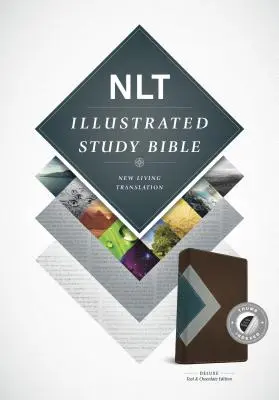 Ilustrovaná studijní bible-NLT - Illustrated Study Bible-NLT