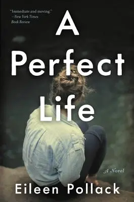 Dokonalý život - A Perfect Life
