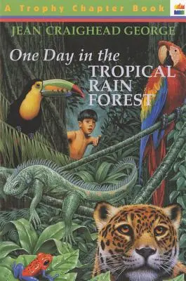 Jeden den v tropickém deštném pralese - One Day in the Tropical Rain Forest