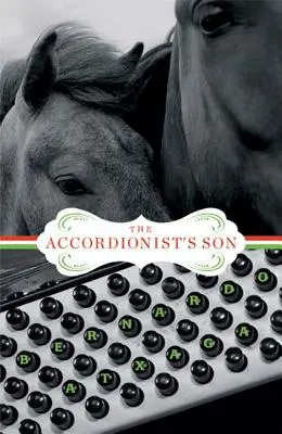 Syn harmonikáře - The Accordionist's Son
