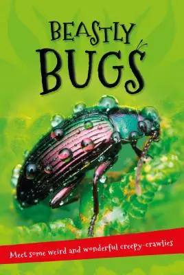 Vše se točí kolem ... Zvířecí brouci: Všechno, co chcete vědět o minibeasterech, v jedné úžasné knize. - It's All about . . . Beastly Bugs: Everything You Want to Know about Minibeasts in One Amazing Book