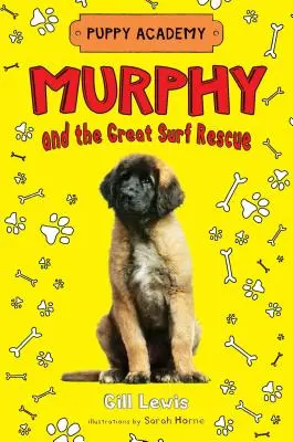 Murphy a velká záchranná akce na moři - Murphy and the Great Surf Rescue
