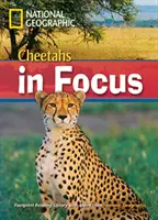 Gepardi v centru pozornosti - Footprint Reading Library 2200 - Cheetahs in Focus - Footprint Reading Library 2200