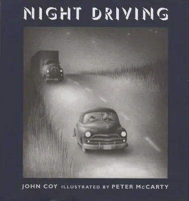Noční jízda - Night Driving