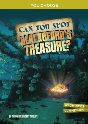 Dokážeš najít Černovousův poklad?: Interaktivní dobrodružství s pokladem: Zkuste najít Černovouse. - Can You Spot Blackbeard's Treasure?: An Interactive Treasure Adventure