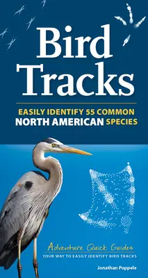 Stopy ptáků: Obsahuje 55 severoamerických druhů - Bird Tracks: Includes 55 North American Species