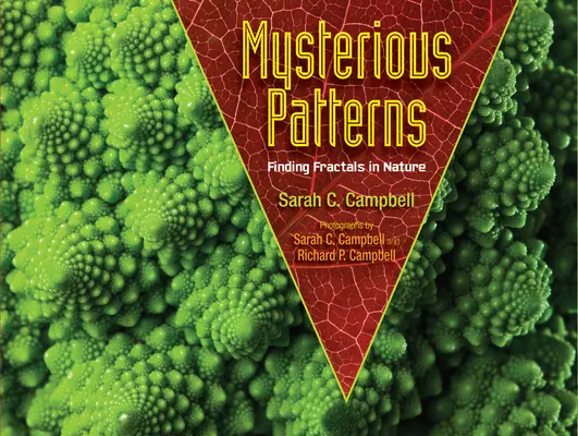 Tajemné vzory: Hledání fraktálů v přírodě - Mysterious Patterns: Finding Fractals in Nature