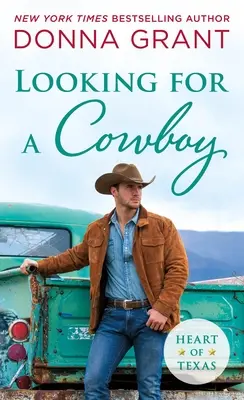 Hledá se kovboj - Looking for a Cowboy
