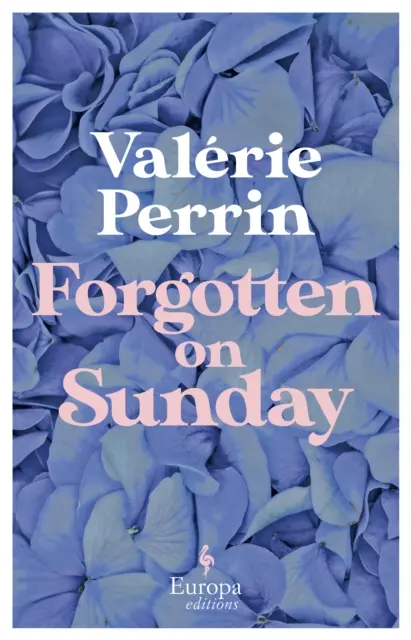 Zapomenuto na neděli - Od autorky bestselleru Svěží voda pro květiny v milionových nákladech - Forgotten on Sunday - From the million copy bestselling author of Fresh Water for Flowers