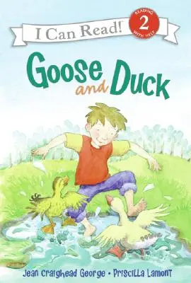 Husa a kachna - Goose and Duck