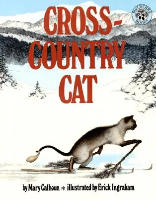 Kočka na běžkách - Cross-Country Cat
