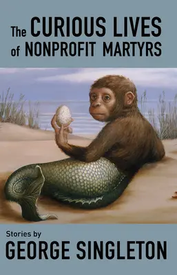 Podivuhodné životy neziskových mučedníků - The Curious Lives of Nonprofit Martyrs