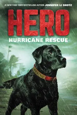 Hrdina: Záchrana při hurikánu - Hero: Hurricane Rescue