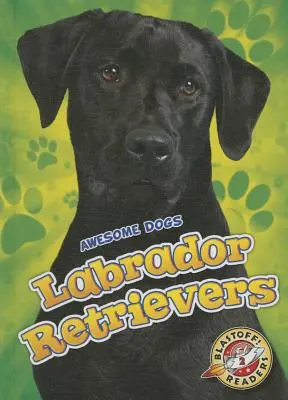 Labradorští retrívři Labradorští retrívři - Labrador Retrievers Labrador Retrievers