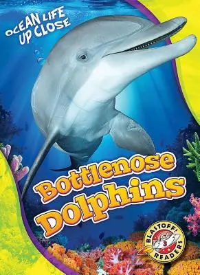 Delfíni skákaví - Bottlenose Dolphins