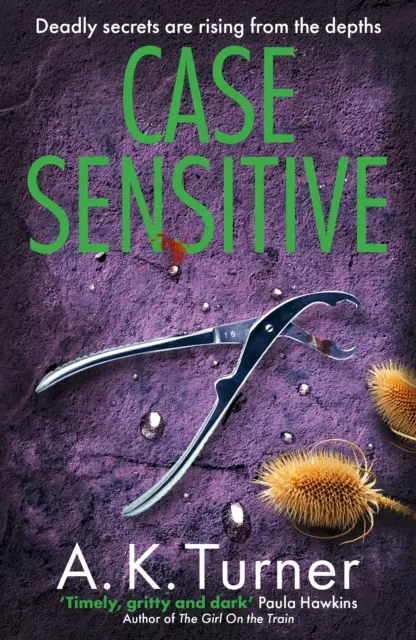 Citlivý případ - Napínavá forenzní záhada odehrávající se v Camdenu - Case Sensitive - A gripping forensic mystery set in Camden