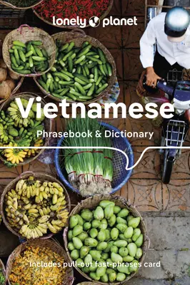 Lonely Planet Vietnamská frázová příručka a slovník 9 - Lonely Planet Vietnamese Phrasebook & Dictionary 9
