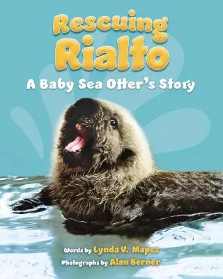 Záchrana Rialta: Příběh mláděte vydry mořské - Rescuing Rialto: A Baby Sea Otter's Story