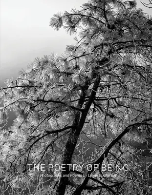Poezie bytí: Básnická kniha: Fotografie a haiku - The Poetry of Being: Photographs and Haikus