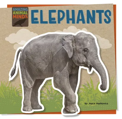Sloni - Elephants