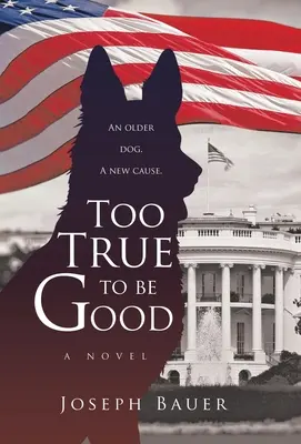 Příliš pravdivé, aby bylo dobré - Too True to Be Good