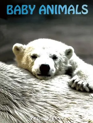 Mláďata živočichů - Baby Animals