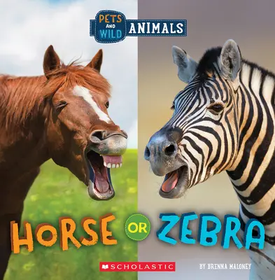 Kůň nebo zebra (Divoký svět: Domácí a volně žijící zvířata) - Horse or Zebra (Wild World: Pets and Wild Animals)