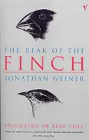 Zobák pěnkavy - Beak Of The Finch