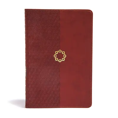 CSB Essential Teen Study Bible, ořechová kůže s dotykem - CSB Essential Teen Study Bible, Walnut Leathertouch