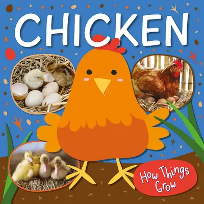 Slepice - Chicken