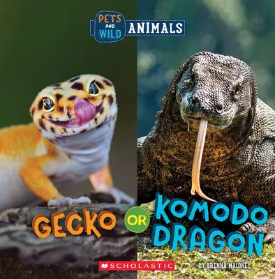Gekon nebo komodský drak (Divoký svět: Domácí a volně žijící zvířata) - Gecko or Komodo Dragon (Wild World: Pets and Wild Animals)