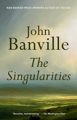 Singularity - The Singularities