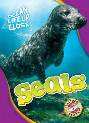 Tuleň - Seals