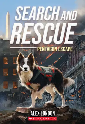 Pátrání a záchrana: Útěk z Pentagonu - Search and Rescue: Pentagon Escape